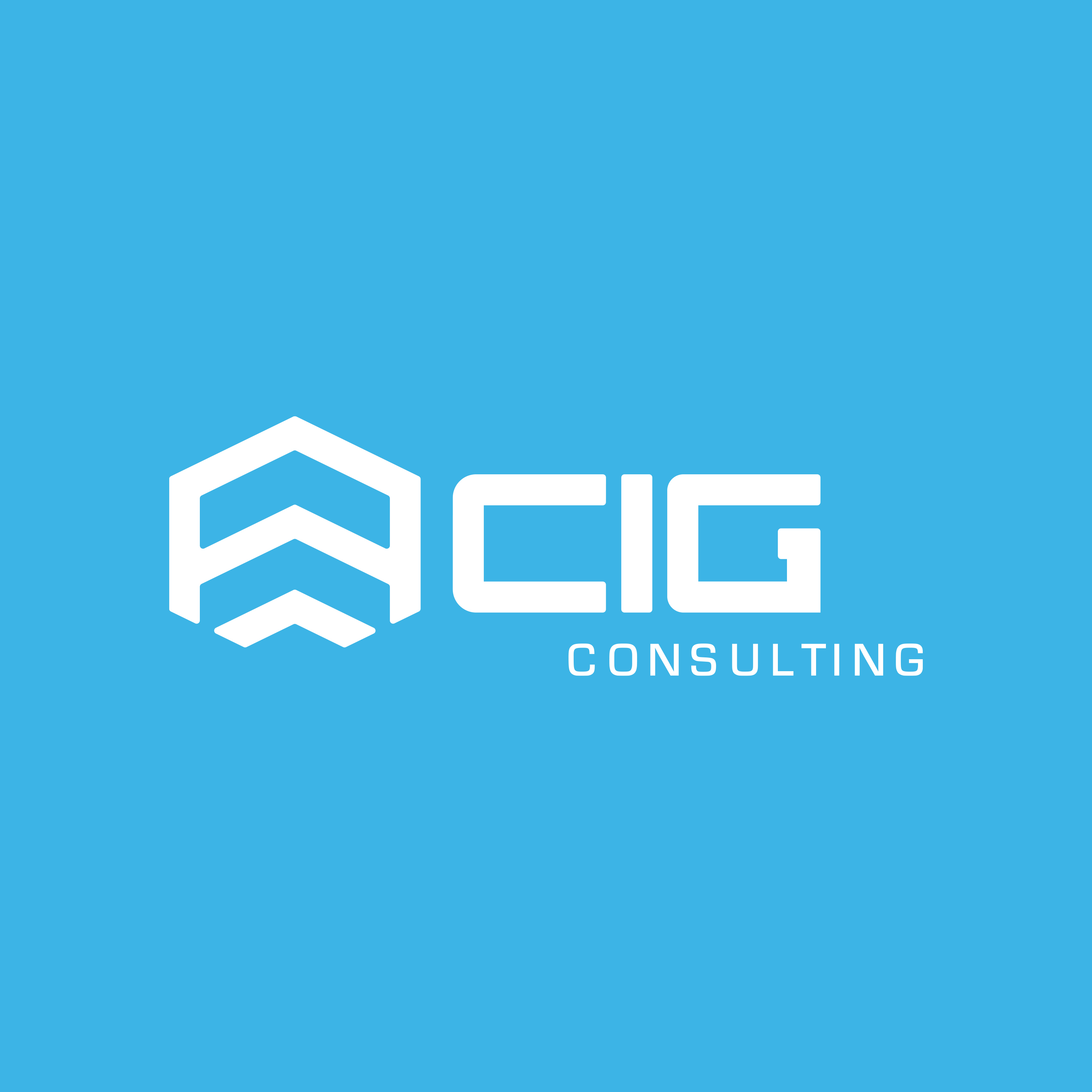 CIG Consulting